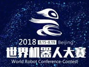 第13届合肥市青少年机器人竞赛乐高小学组一等奖